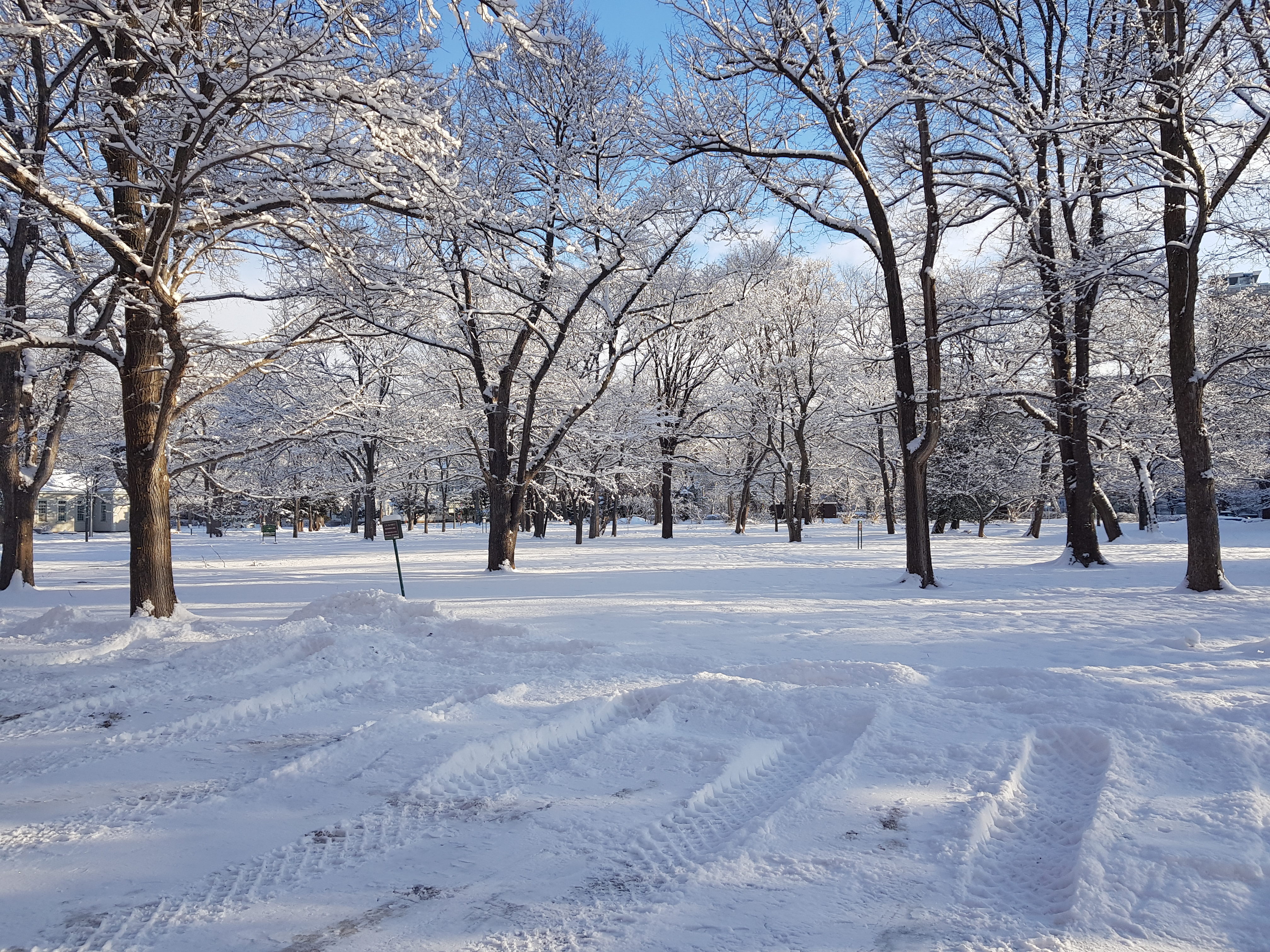 Postdoc @ Hokkaido University