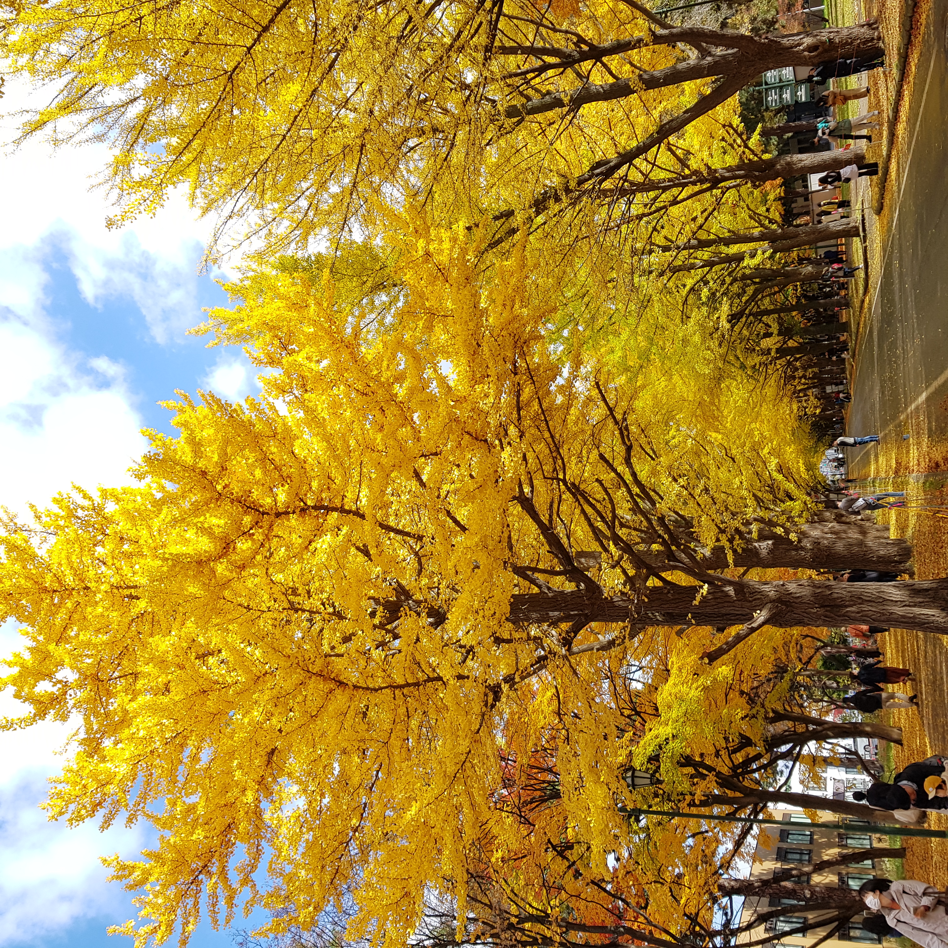 Postdoc @ Hokkaido University